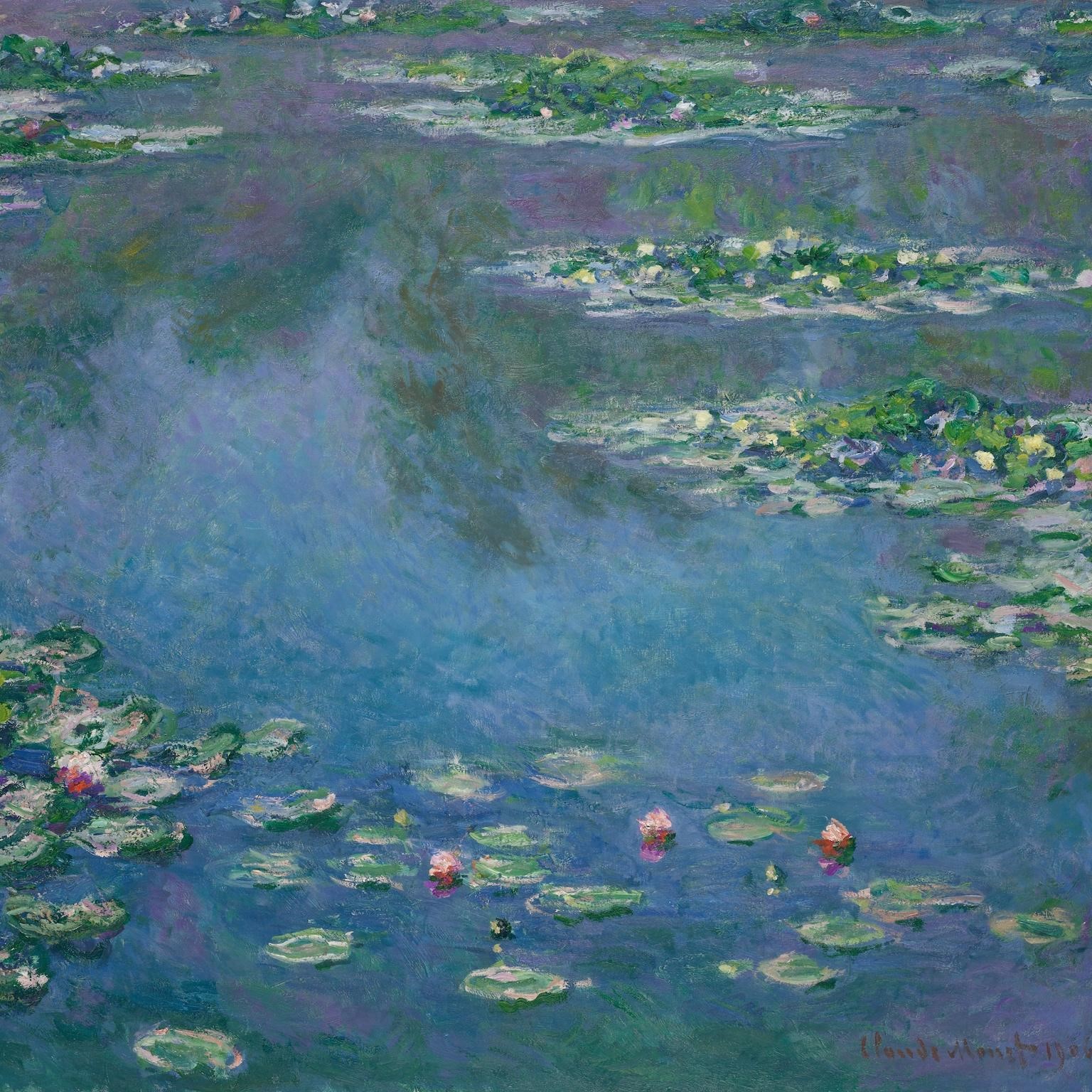 Water Lilies (1906)